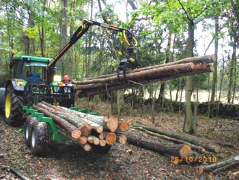 Woodland Management Case Study image 3